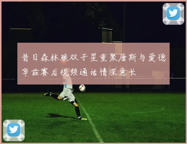 昔日森林狼双子星重聚唐斯与爱德华兹赛后视频通话情深意长